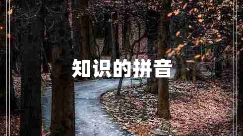 知識的拼音