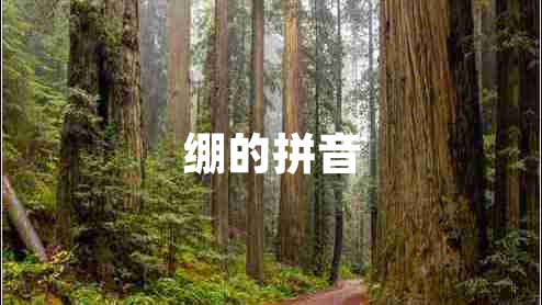 繃的拼音