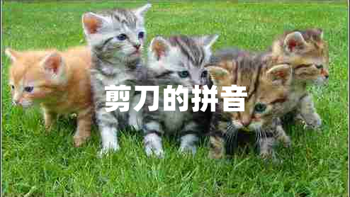 剪刀的拼音