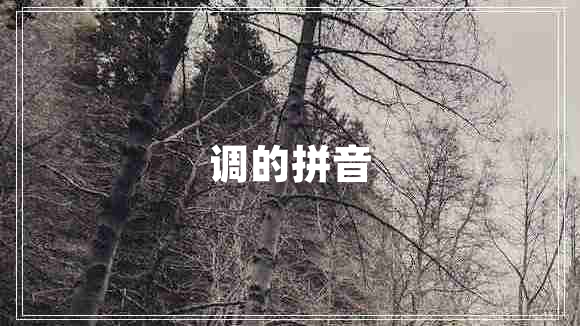 調的拼音