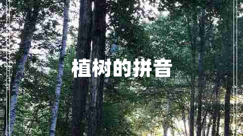 植樹(shù)的拼音