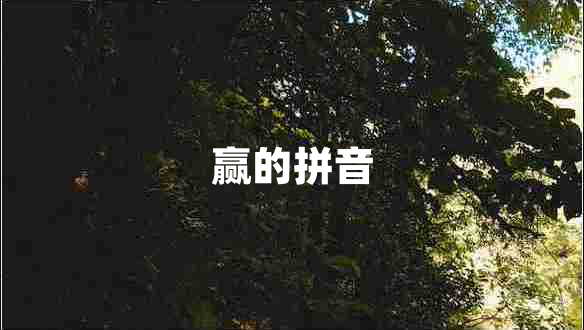 贏(yíng)的拼音