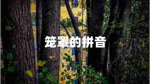籠罩的拼音