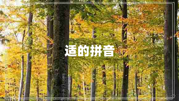 適的拼音