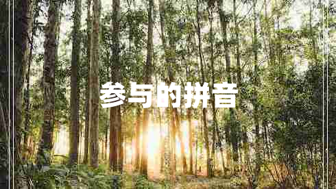 參與的拼音
