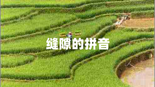 縫隙的拼音