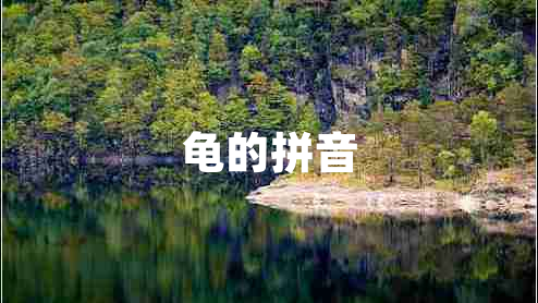 龜的拼音