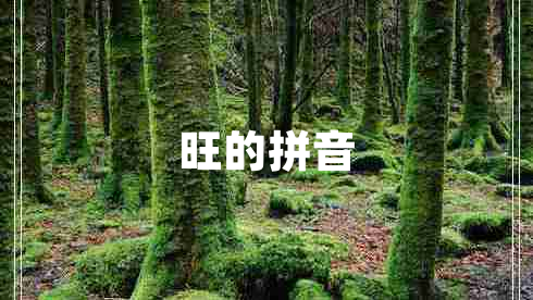 旺的拼音