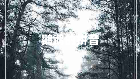 鸚鵡的拼音
