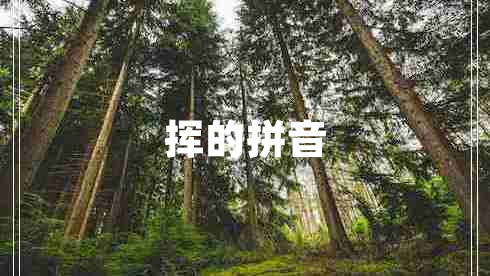 揮的拼音