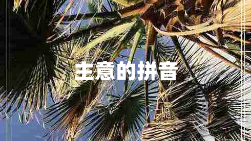 主意的拼音