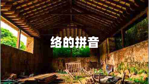 絡(luò)的拼音