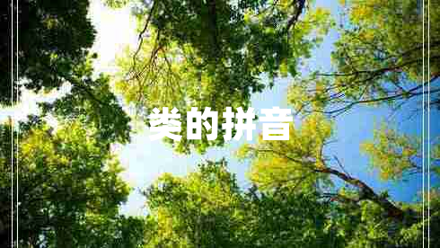 類(lèi)的拼音