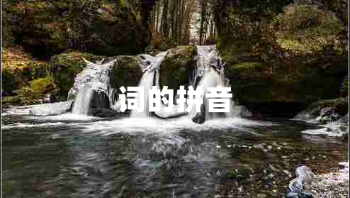 詞的拼音