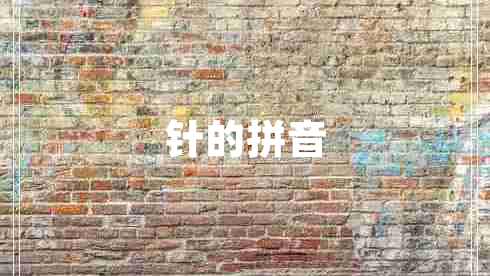 針的拼音
