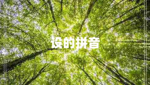 設(shè)的拼音