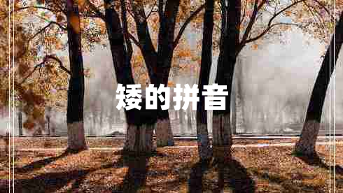 矮的拼音