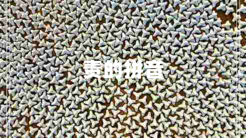 責的拼音