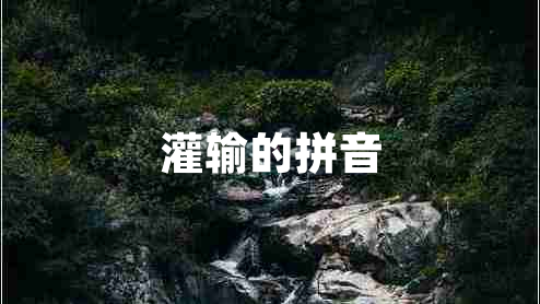 灌輸的拼音
