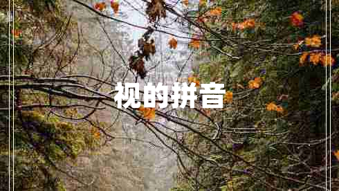 視的拼音