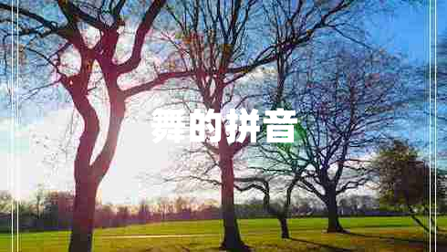 舞的拼音