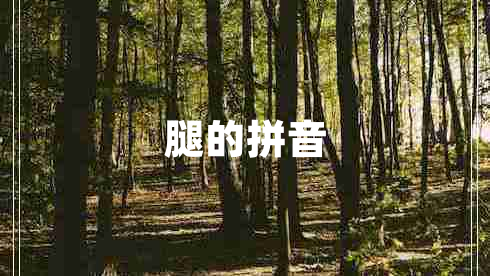 腿的拼音