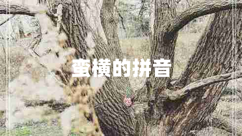蠻橫的拼音