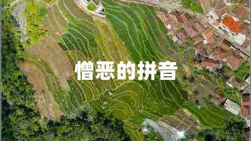 憎惡的拼音