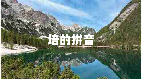 培的拼音