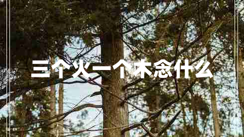 三個(gè)火一個(gè)木念什么