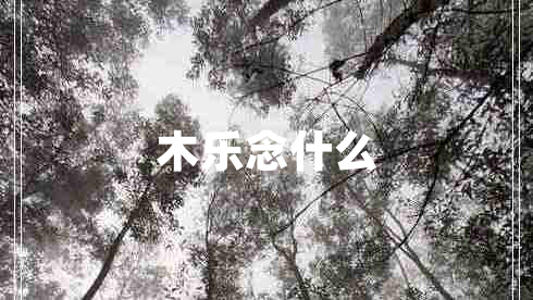 木樂(lè)念什么