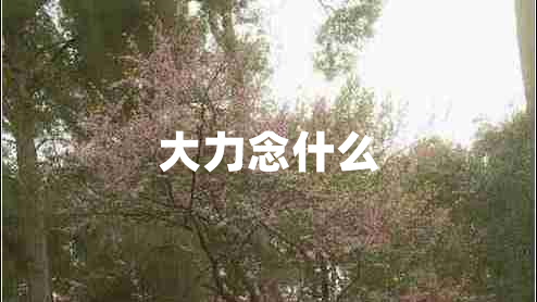 大力念什么