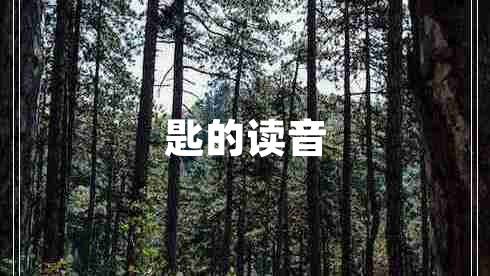 匙的讀音