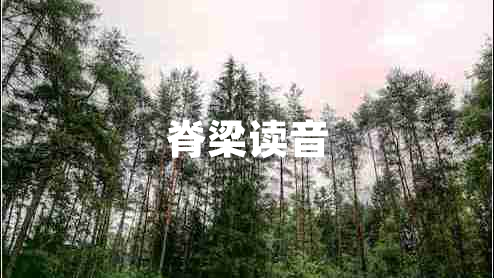 脊梁讀音