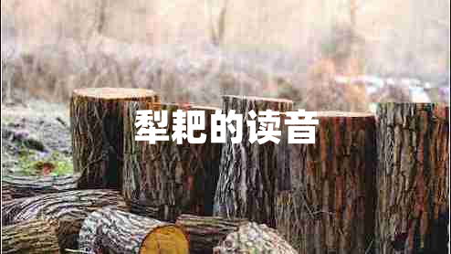 犁耙的讀音