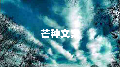 芒種文案