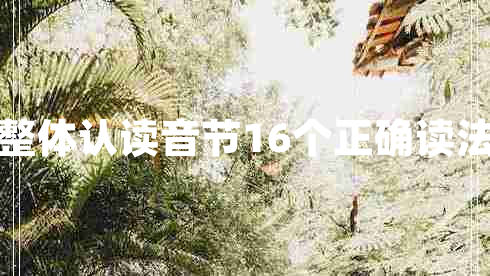 整體認讀音節(jié)16個正確讀法
