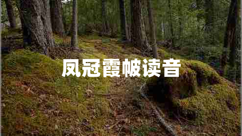 鳳冠霞帔讀音