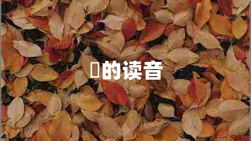 氹的讀音