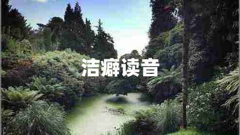 潔癖讀音
