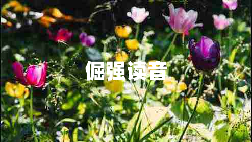 倔強(qiáng)讀音