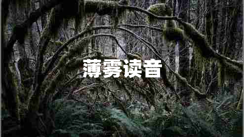 薄霧讀音