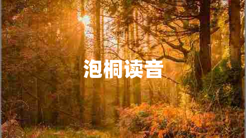 泡桐讀音