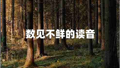 數(shù)見(jiàn)不鮮的讀音