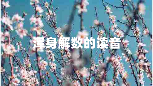 渾身解數的讀音