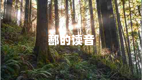 鄯的讀音