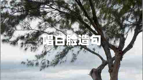 唱白臉造句