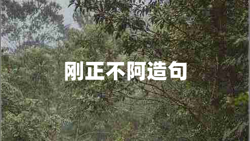 剛正不阿造句
