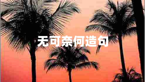 無可奈何造句