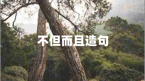 不但而且造句